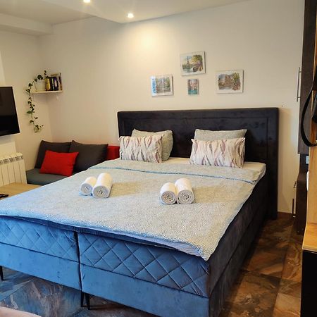 Kala Apartment โนวีซาด ภายนอก รูปภาพ